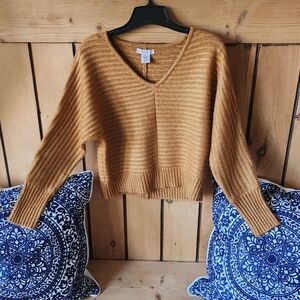 Sincerely Jules Brown V-Neck Sweater